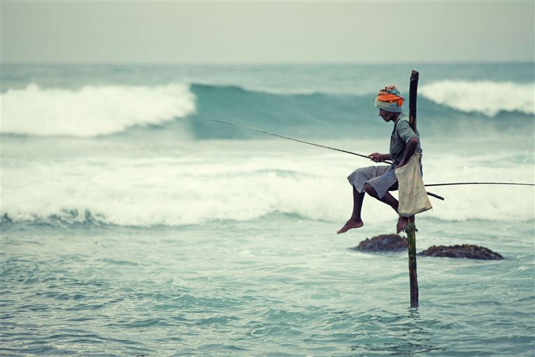 Die ausführliche Reise Sri Lanka ©1001nights/istock